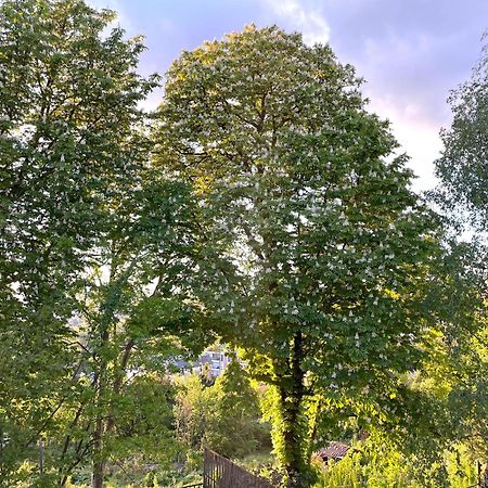 Sara Home Chennevières-sur-Marne Eksteriør billede